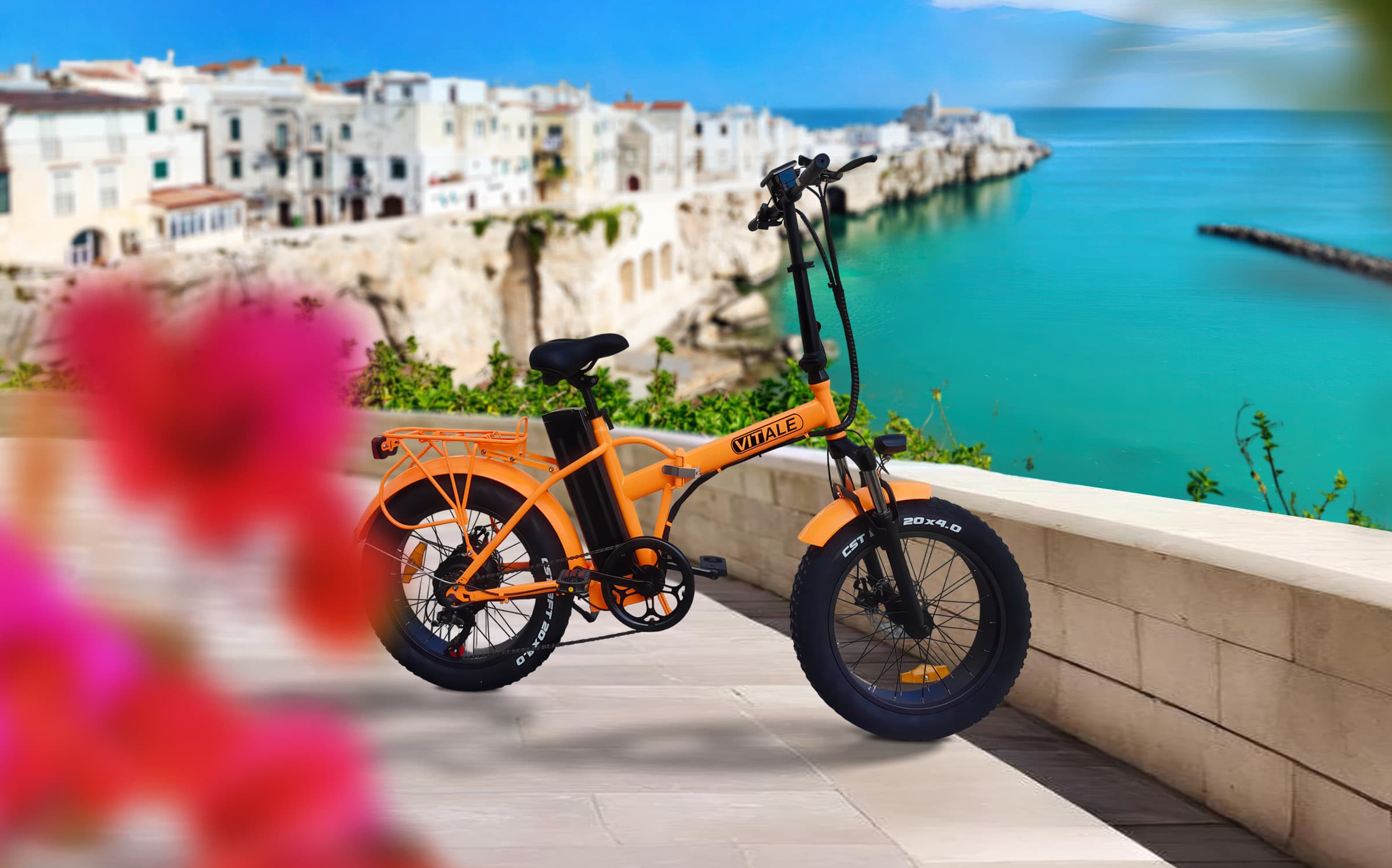 FAT-02 DB - Fat Bike Elettrica Telaio Dritto